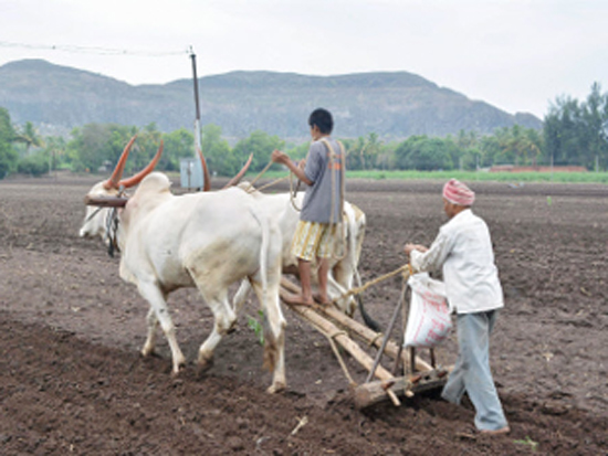 Farmers should not rush for Kharif sowing
