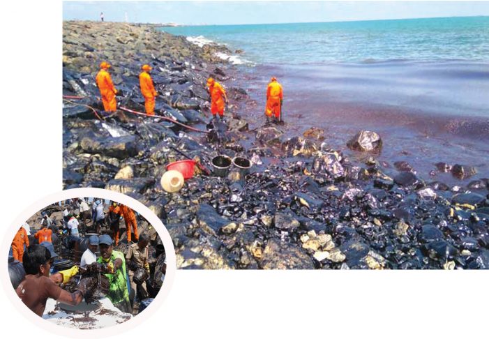 Chennai coast oil spill problem is alarming