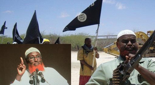 Growing presence of IS in Somalia, concludes the UN report