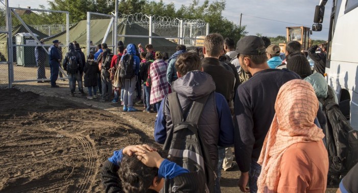 शरणार्थियों पर यूरोप को साहसिक फैसला लेना होगा, यूरोपीय संघ प्रमुख का आवाहन