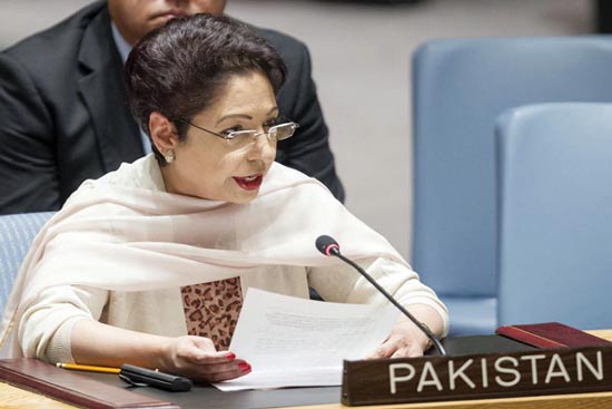 ‘भारतीय सेना का पाकिस्तान पर तोपों से हमला’ : संयुक्त राष्ट्रसंघ में पाकिस्तान के राजदूत की शिकायत