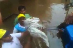 A two-day-old infant and its mother, stuck in the deluge at Sangli were safely rescued by the ‘DMVs’ and moved to safety.