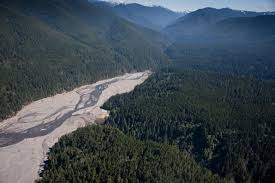 The rebirth of Elwha river after a century