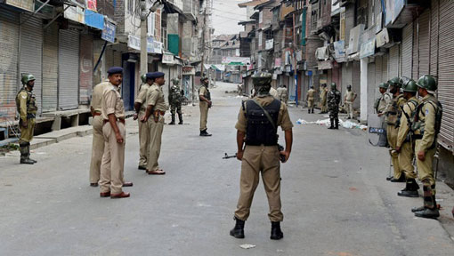 Banning pellet guns would lead to more fatalities: CRPF to J&K High Court